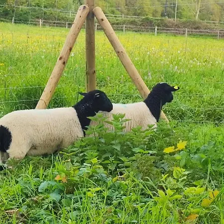 Raeuberhoehle דירה