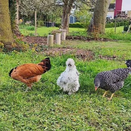 Raeuberhoehle דירה אלטרקולץ